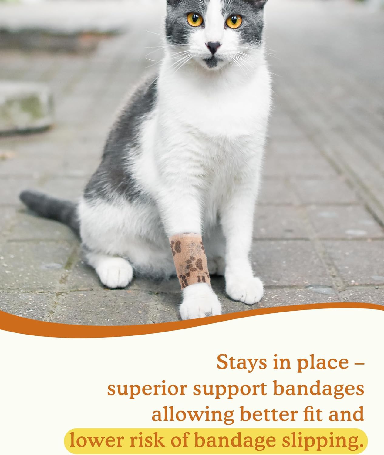 Cat Paw Bandage